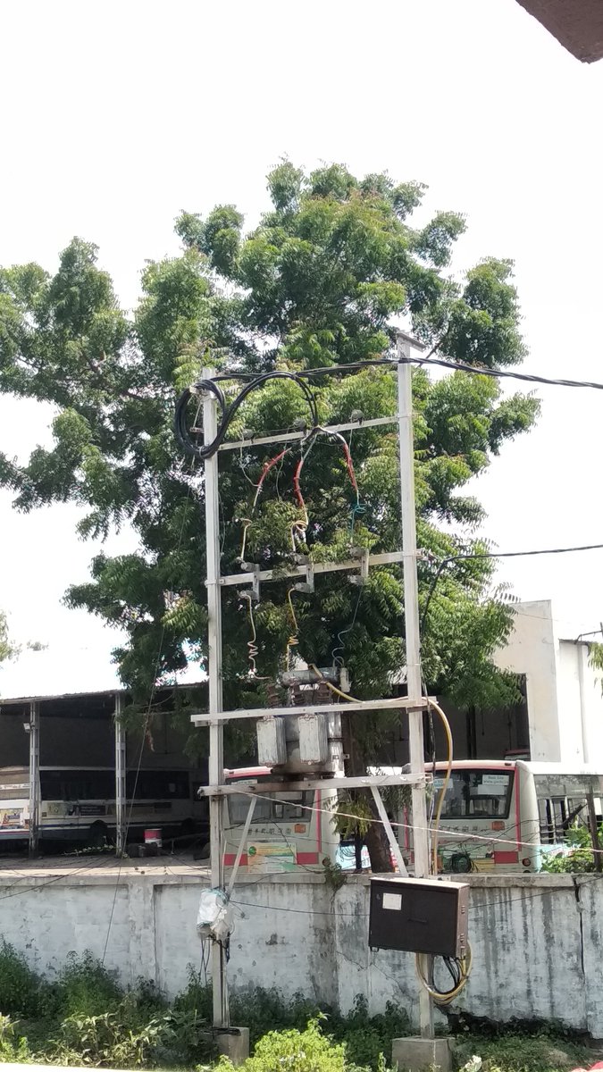 shadab5's tweet photo. @VMCVadodara Need the Garden dept's help to trim a Neem tree as it is touching Haji Park GEB transformer. Area is under Ward No. 3 - near Panigate St Bus depot (boundary wall of Haji Park and St depot) Census no. 03-28-048-601-007-020 https://t.co/pTfwiVOX7P
