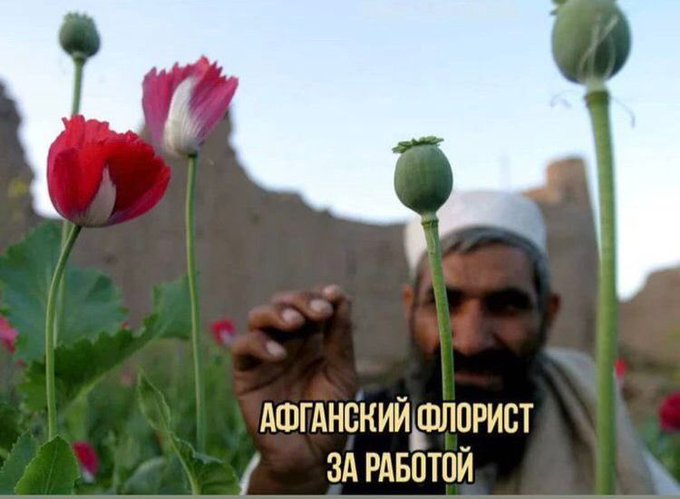 Талибы устанавливают контроль над аэропортом Кабула - Цензор.НЕТ 8004
