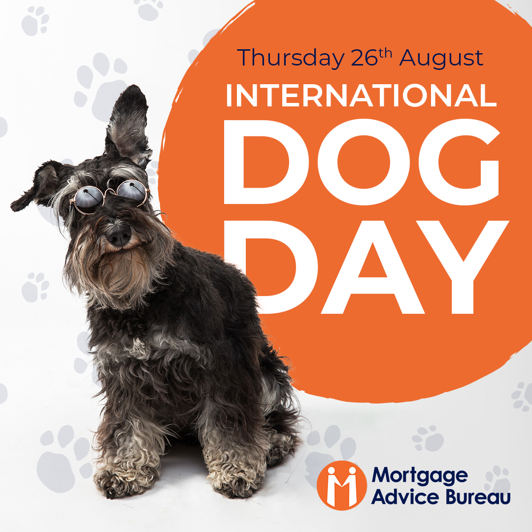 Happy #internationaldogday!
