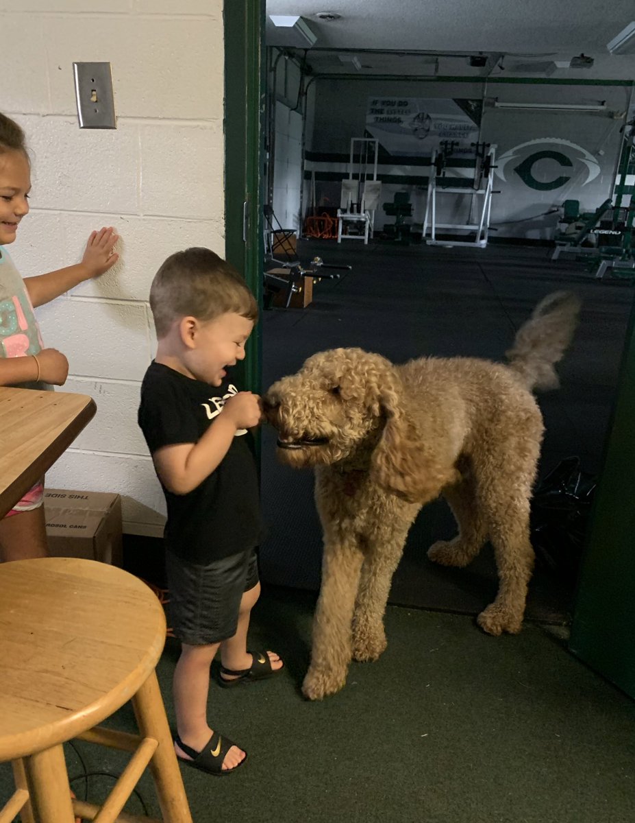 CoachJPressley's tweet photo. @jeremytylerwagn #Roux + #LilHornets #TeamPet https://t.co/jwMdbTaqm8
