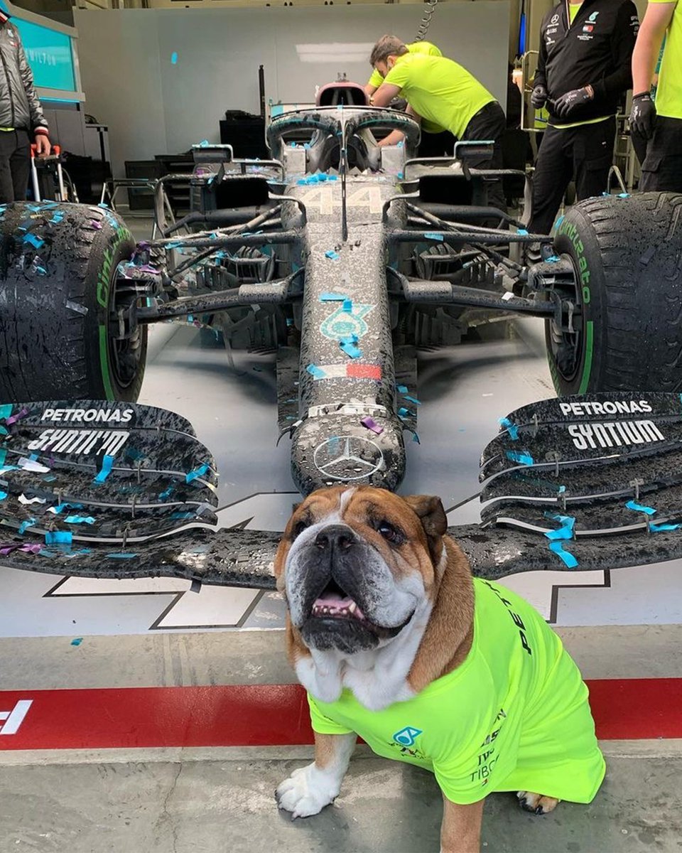 Happy #InternationalDogDay! 🐶

📸: <a href="/LewisHamilton/">Lewis Hamilton</a>