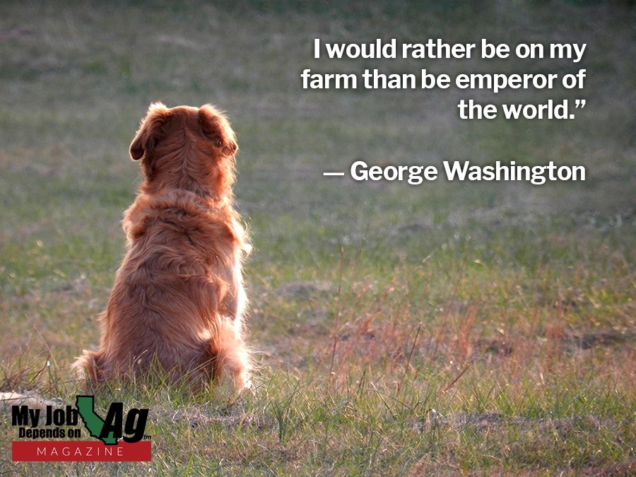 #farm365 #agriculture #farm #farming #farmer #farmlife #myjobdependsonag