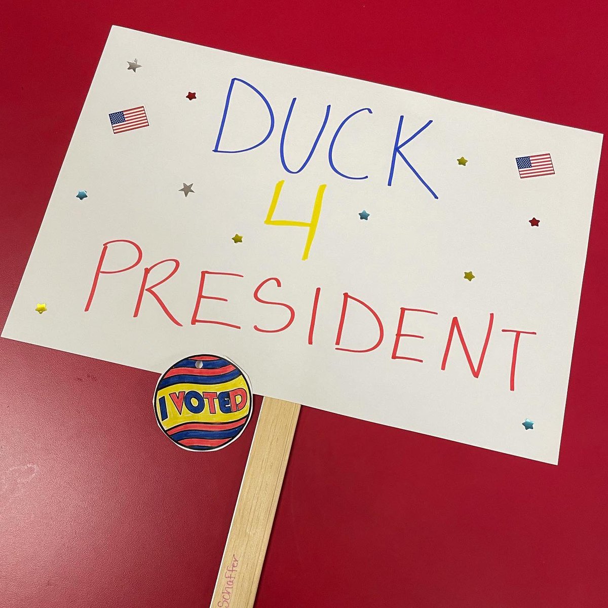 mvschaffer's tweet photo. It’s Election Day in 2nd grade @GreenvilleES !! Vote DUCK 4 President!! #yourvotecounts #rockthevote #iapprovedthismesaage #paidforbyduck4president #noduckleftbehind https://t.co/rVh4paw3bj
