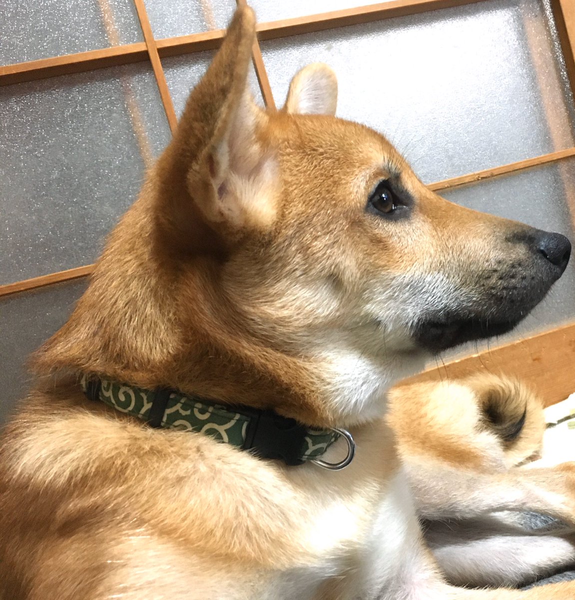 殿 最新情報まとめ みんなの評判 評価が見れる ナウティスモーション ページ目