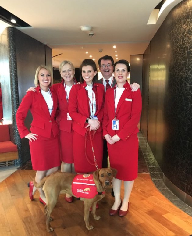 VirginAtlantic's tweet photo. Happy #InternationalDogDay to all the amazing pups that have earned their “pawsports” with us over the years ✈️🐶

Can you spot our newest pilot? 👨‍✈️ https://t.co/PryzQneLam