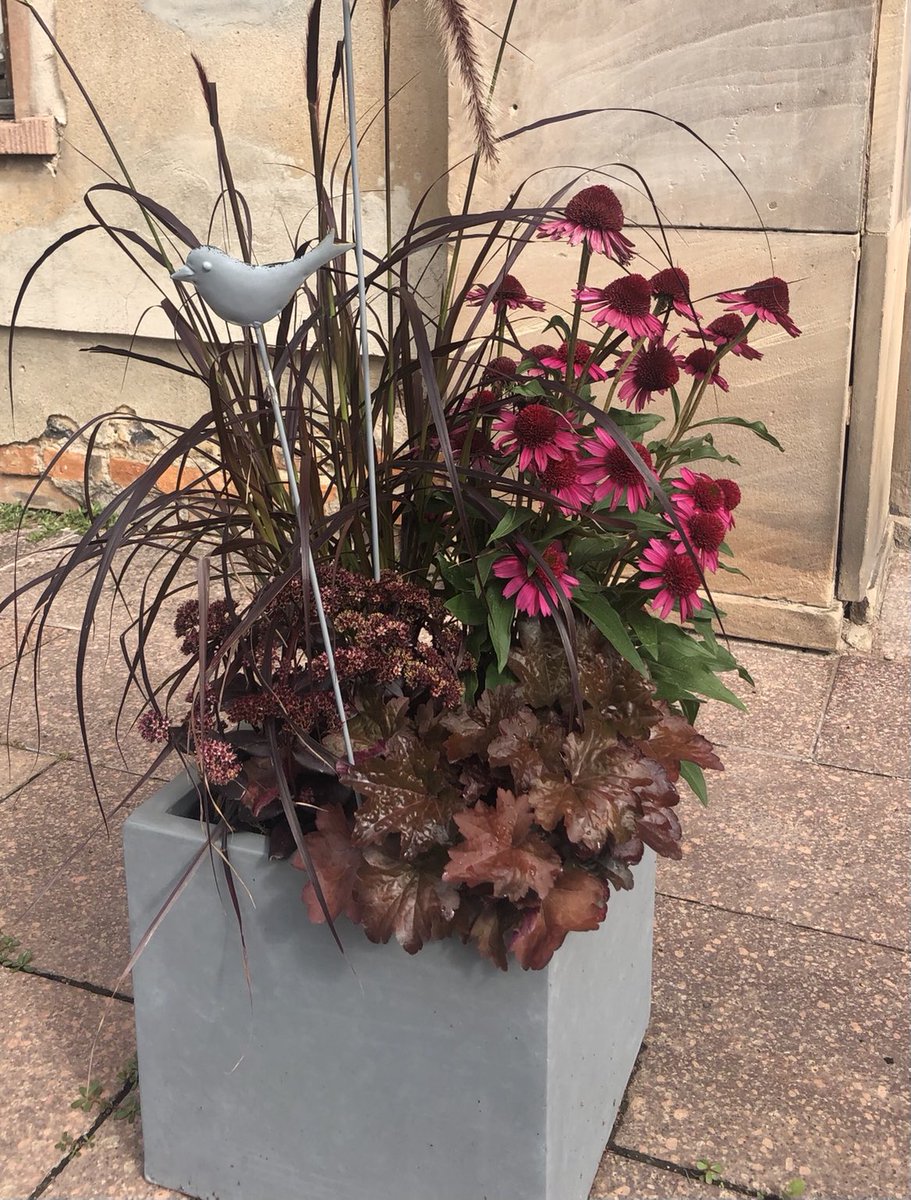 Riesen_klein's tweet image. Willkommen nach der Sommerruhe am Hauseingang! #Start #Beginn #Auftakt #Schulanfang #Vorfreude