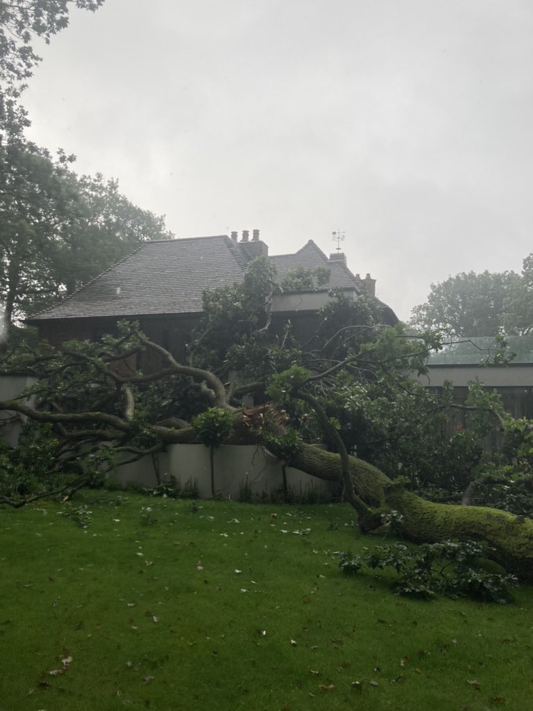 HillTreeCare's tweet image. A recent emergency job we carried out where a large limb off an oak tree snapped off into a property. We were on site quickly and got it off the roof of the house and cleared up. #emergencytreework #tree #treework #arb #suttoncoldfield #tamworth #lichfield #birmingham #midlands