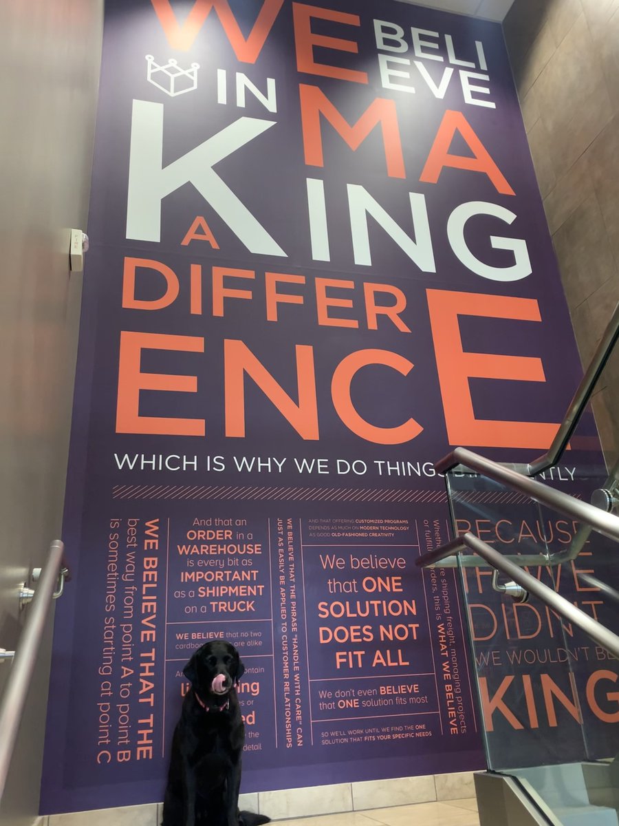 It’s #NationalDogDay so here at King we are celebrating our office greeter, Summer! 🐾🦴