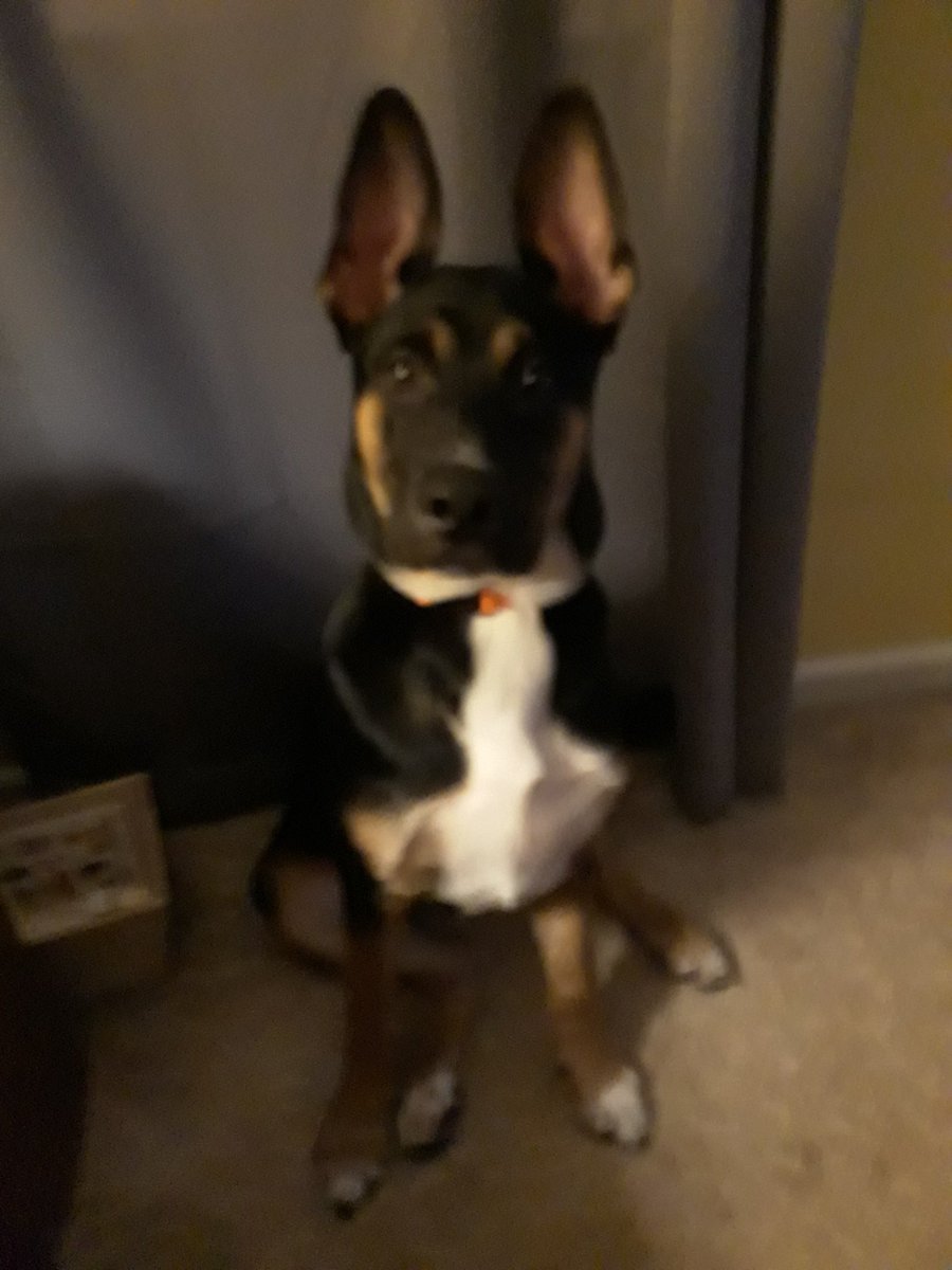 Buster22 tweet media