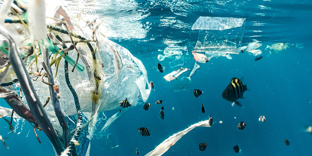 HiTechReport561's tweet image. Sponsored Post:

🌎 Is Plastic Pollution A Thing Of The Past? Maybe! Read Here&amp;gt;&amp;gt;&amp;gt; bit.ly/2XZFeZ8 🌻

#SaveOurPlanet #Recycle #StopPollution #Stocks #otc

Please read my disclaimer on my profile.