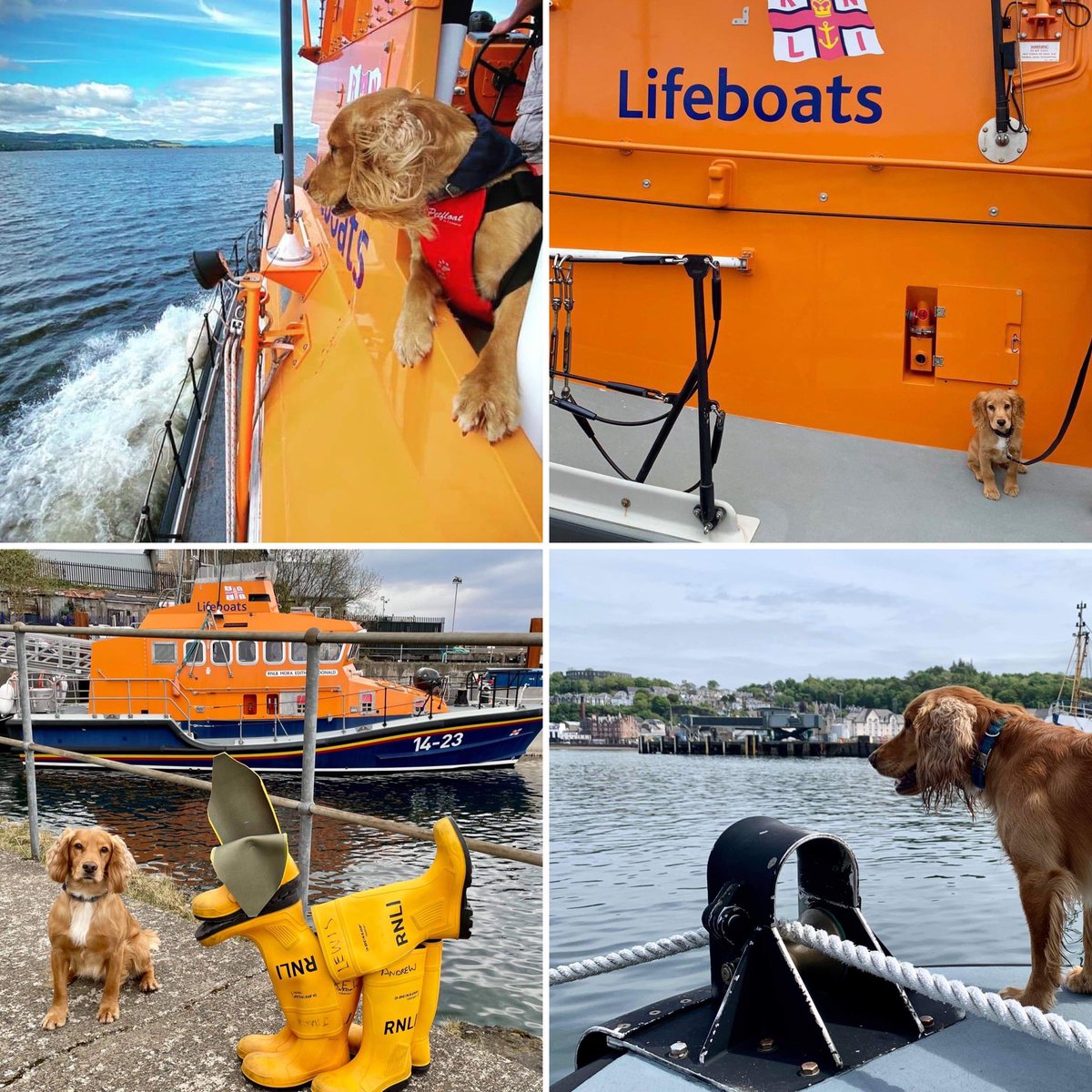 It’s #InternationalDogDay and we have our very own #lifeboatdog in Oban; Flynn.

His parents are our full time coxswain and a crew member and he’s used to waiting patiently ashore when the pagers sound. 

In his spare time he loves supervising routine maintenance onboard!

#rnli