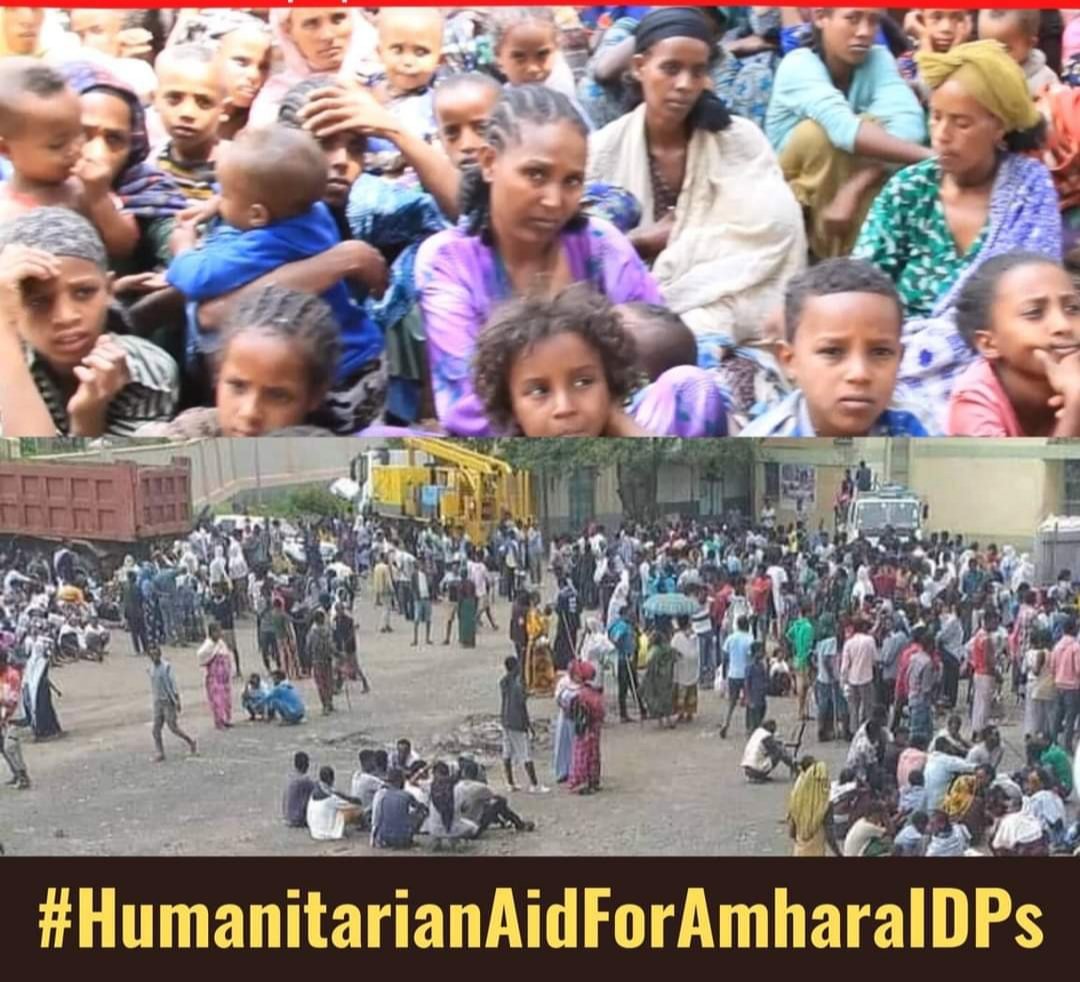 Dessalegn Chanie Dagnew (@cdessalegn) on Twitter photo More than 90K civilians in Afar, and 500K in Amhara region, have been displaced from their homes after TPLF continued their aggression and offensive. Most are children, women & elders.
#AtrocitiesByTPLF
<a href="/SecBlinken/">Secretary Antony Blinken</a>
<a href="/AsstSecStateAF/">Bureau of African Affairs</a>
<a href="/JanezLenarcic/">Janez Lenarčič</a>
<a href="/JosepBorrellF/">Josep Borrell Fontelles</a>
<a href="/EUinEthiopia/">EU in Ethiopia / የአውሮፓ ህብረት በኢትዮጵያ</a> More than 90K civilians in Afar, and 500K in Amhara region, have been displaced from their homes after TPLF continued their aggression and offensive. Most are children, women & elders.
#AtrocitiesByTPLF
<a href="/SecBlinken/">Secretary Antony Blinken</a>
<a href="/AsstSecStateAF/">Bureau of African Affairs</a>
<a href="/JanezLenarcic/">Janez Lenarčič</a>
<a href="/JosepBorrellF/">Josep Borrell Fontelles</a>
<a href="/EUinEthiopia/">EU in Ethiopia / የአውሮፓ ህብረት በኢትዮጵያ</a>