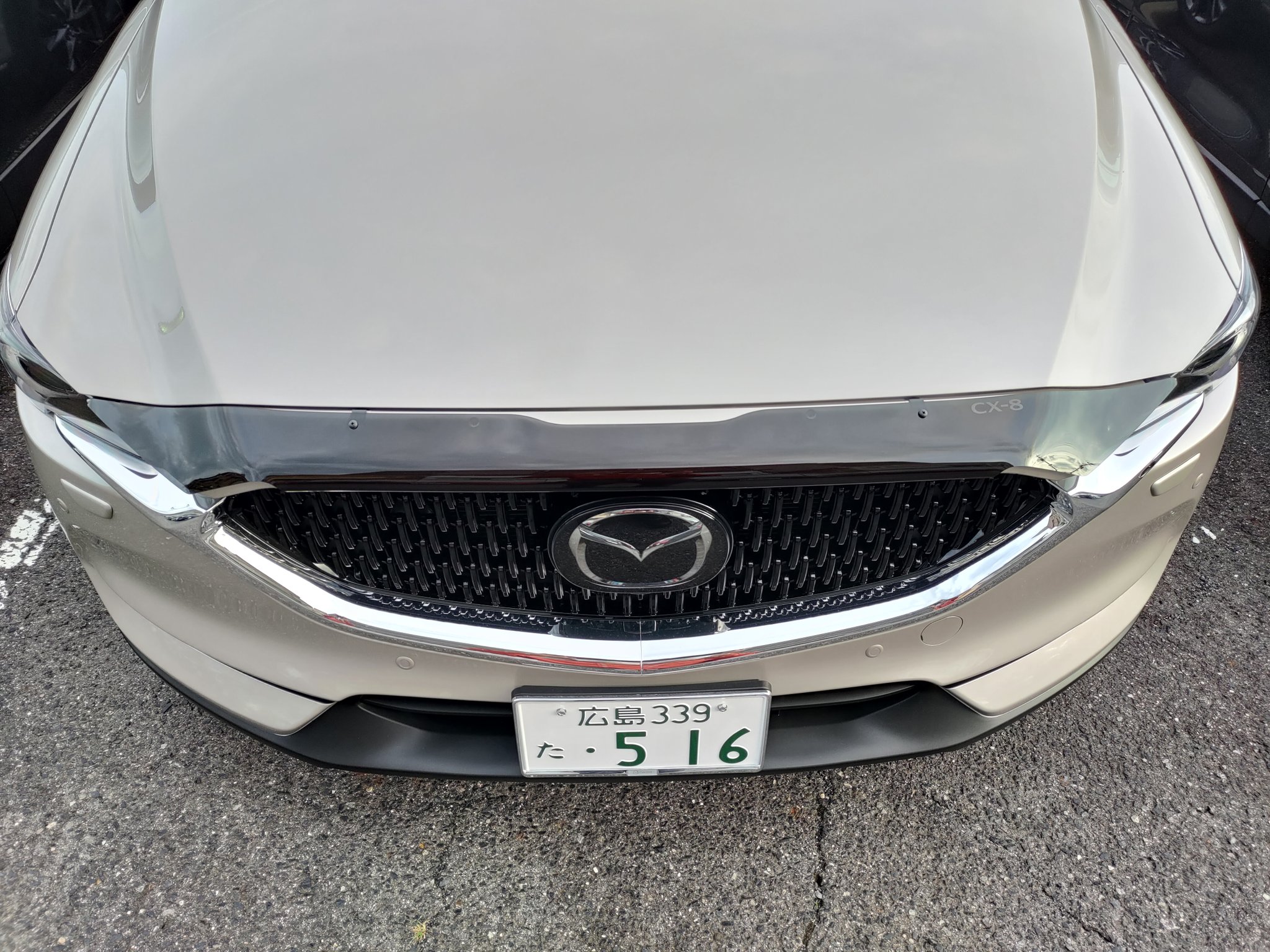 cx8 ボンネットプロテクター