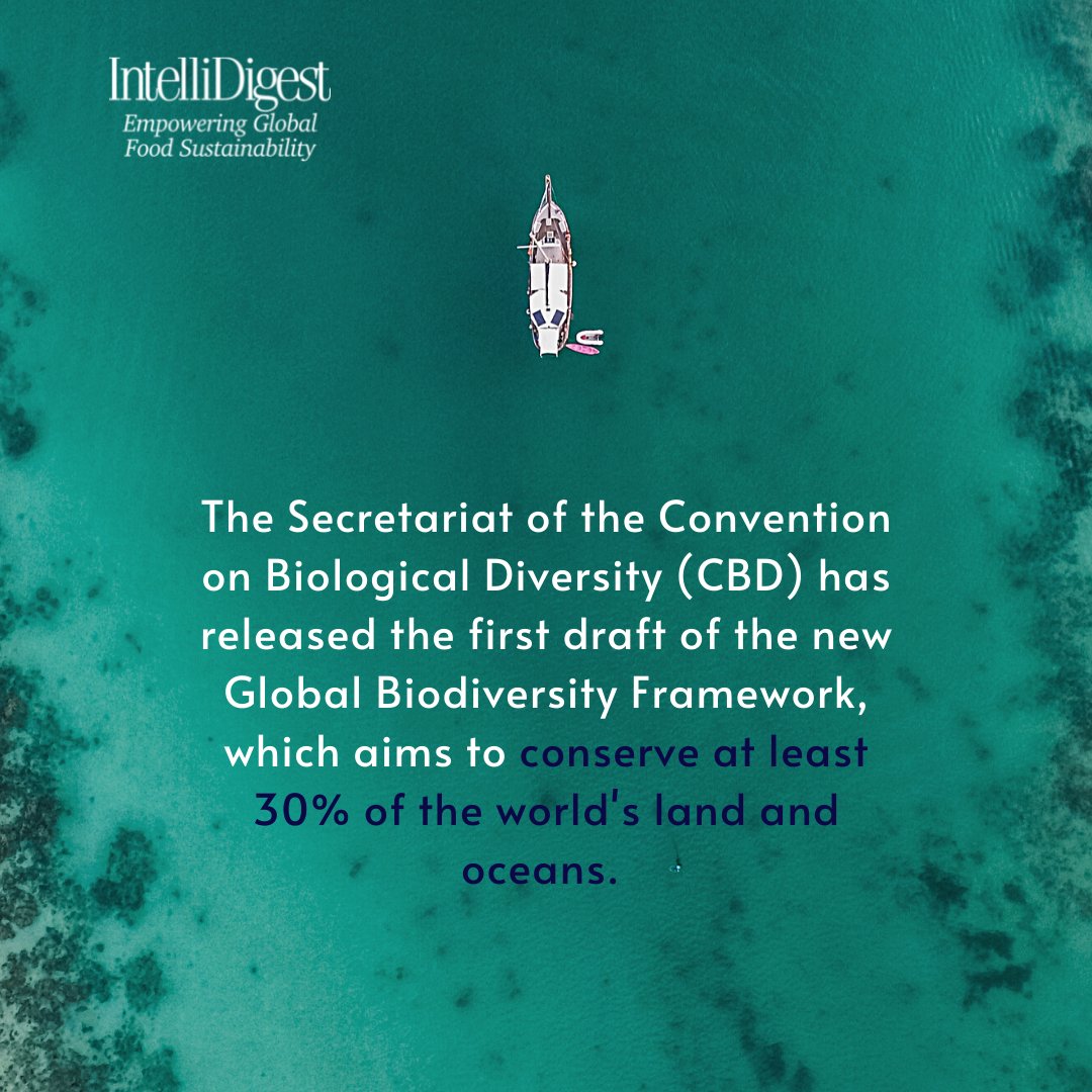 IntelliDigest's tweet photo. Our planet needs to be protected to combat nature's crisis. Now is the time to act!
We at @intellidigestltd are committed to fighting nature's crisis by enhancing global #food #sustainability, find out how to be part of the #change with us on our site: https://t.co/GrwLJFbdqr https://t.co/Bb1e2SDPWs