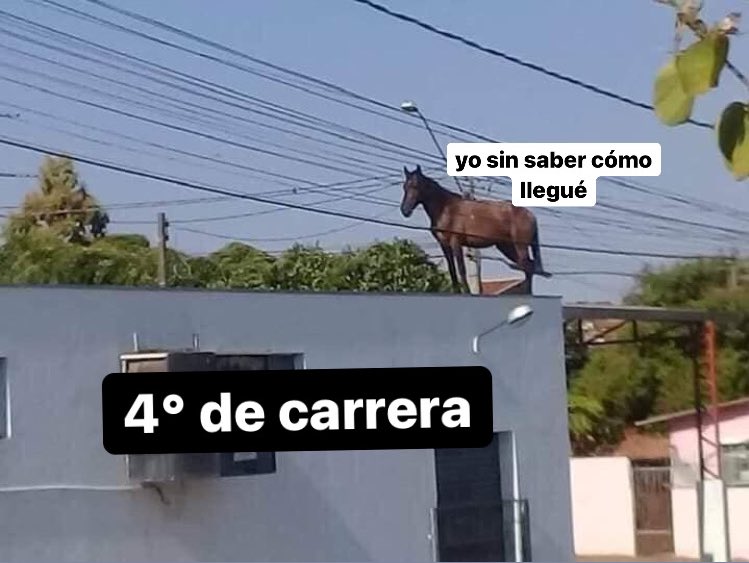 ya puedo twittear esto