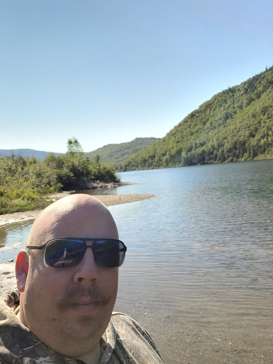 Aaron Pauley tweet media