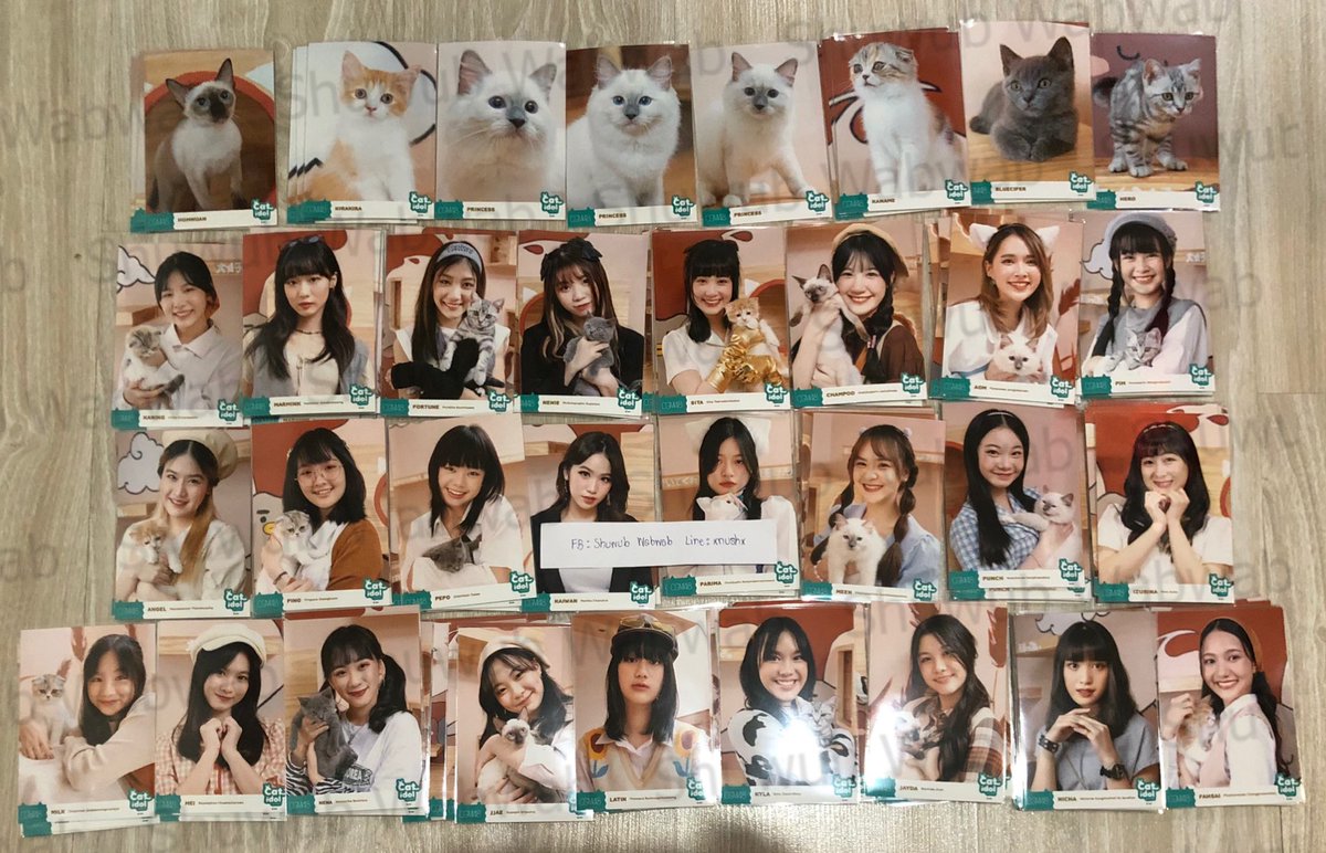 Shuwub's tweet photo. 🔥 Comp cat idol🔥
350 คานาเมะ
1300 คนิ้ง
600 มามิ้ง
500 ฟอร์จูน
450 สิตา แชมพู
350 ออม นีนี่
300 พิม
250 แองเจิ้ล ปิ๊ง
200 ปะริมะ เหมย 
180 ไข่หวาน ปีโป้
50  มีน พั้นช์ รินะ
120 เจเจ ณิชา เจย์ดา 
90 เคียล่า ละติน
30 ฟ้าใส
ค่าส่ง40
#cgm48market #ตลาดนัดcgm48 #CatIdolbyCGM48 #แมว https://t.co/DUIWUvesXZ