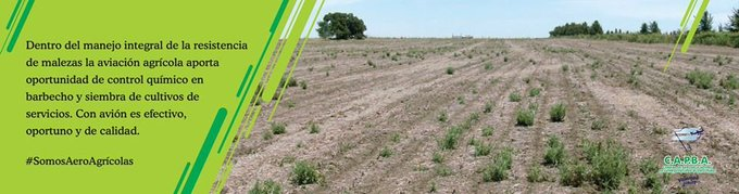 CAPBAOficial's tweet photo. Dentro del manejo integral de malezas, en especial las resistentes, la aviación agrícola aporta oportunidad de control químico en pre-cosecha y barbecho además de siembra de cultivos de servicios.                                      
#SomosAéroAgrícolas https://t.co/g3DCiUCCYA