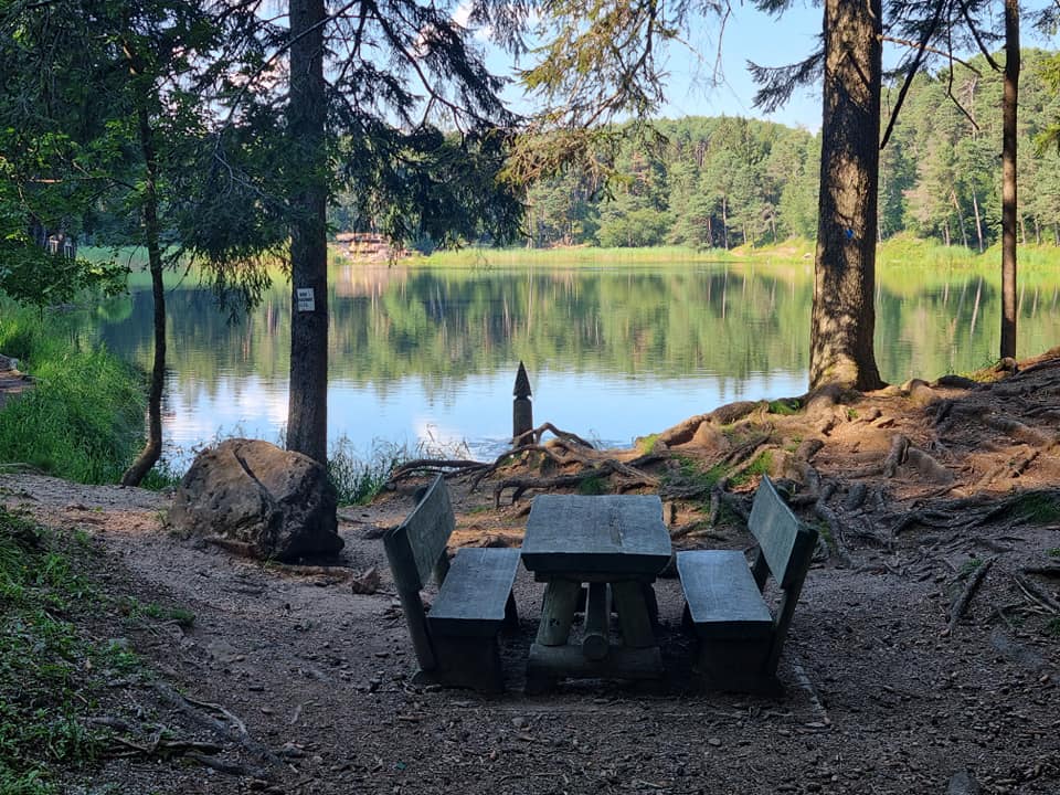 visitpine's tweet photo. Il #sentierodelleCanope attraversa il bosco dell'Argentario e si affaccia sul lago di #Santacolomba! 💦🍀🐠👉 sabato 28.08: visita guidata al sentiero per esplorare le bellezze che custodisce il bosco, sopra e sottoterra! Per info: https://t.co/gwVoB4lwwS
📸 Alberto Raffaelli https://t.co/aVC7bjdyJv