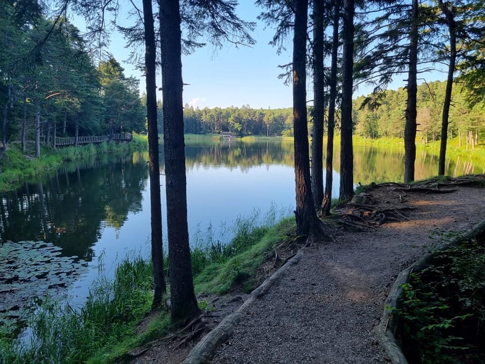 visitpine's tweet photo. Il #sentierodelleCanope attraversa il bosco dell'Argentario e si affaccia sul lago di #Santacolomba! 💦🍀🐠👉 sabato 28.08: visita guidata al sentiero per esplorare le bellezze che custodisce il bosco, sopra e sottoterra! Per info: https://t.co/gwVoB4lwwS
📸 Alberto Raffaelli https://t.co/aVC7bjdyJv