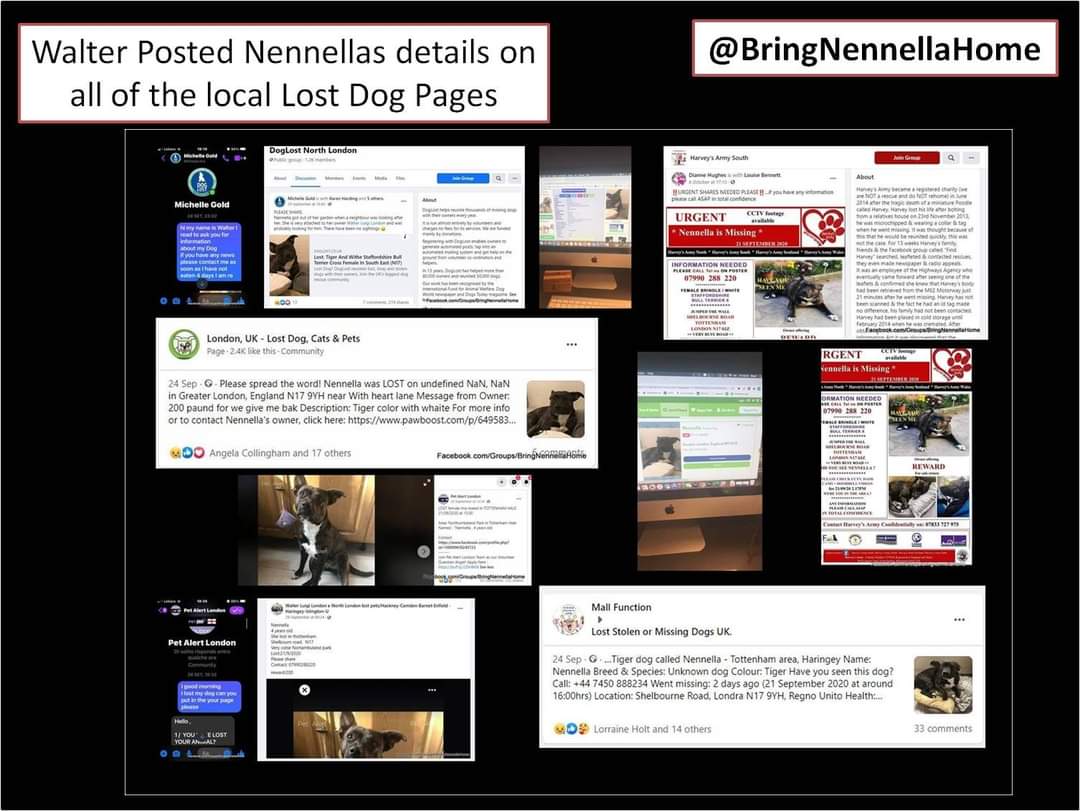 Missing Pets GB tweet media