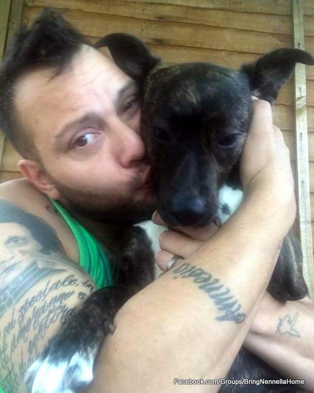 Missing Pets GB tweet media