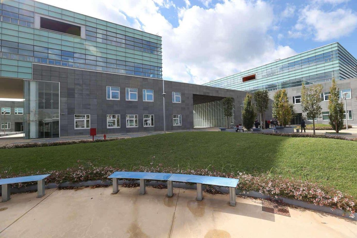 Unina Federico II tweet media