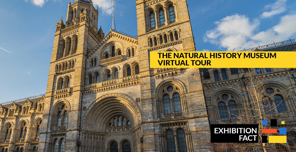 FACTSecured's tweet photo. Did you know you can navigate online through one of the most famous #museums in the #UK? @NHM_London has one of the most developed and richest experiences on Google Arts &amp; Culture. https://t.co/ShvOBJRUEl

#VirtualTour #NaturalHistoryMuseum #FactSecured https://t.co/VuJbETpMmy