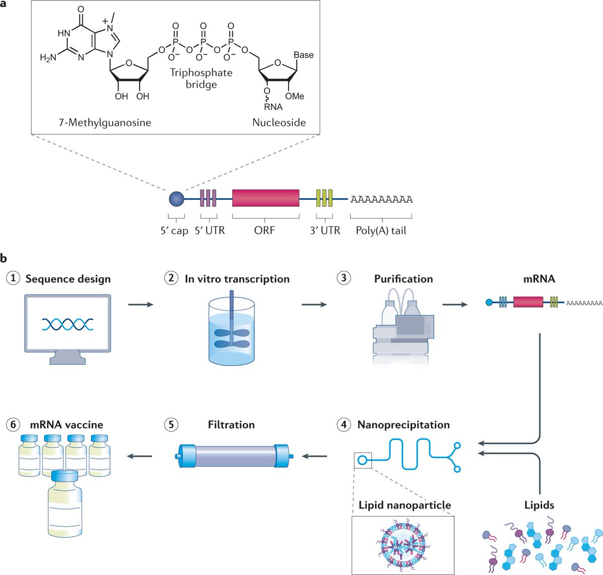 Nature Reviews Drug Discovery tweet media