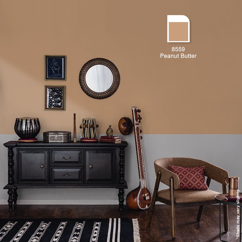 Asian Paints Color Ideas For Living Room Bryont Blog