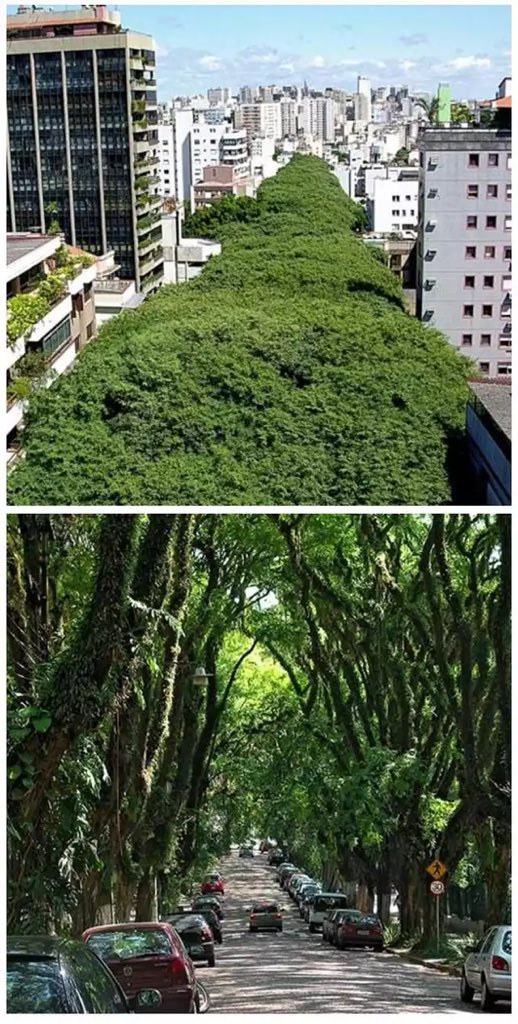 فؤاد Fouad | Strategic Urban Planner tweet media