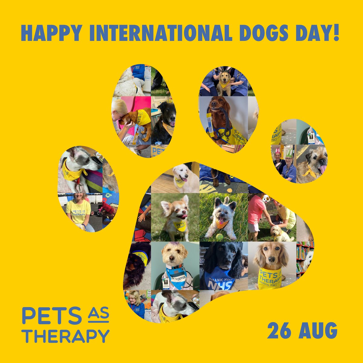 PetsAsTherapyUK's tweet photo. Happy #InternationalDogDay!🐶
It makes our day every time we see a new photo of a #PATTeam hard at work, making people's lives better in their community💛
To all our volunteers, thank you so much - without you, we wouldn't be able to support all the people who need it🐶 https://t.co/QqeR47Bmll