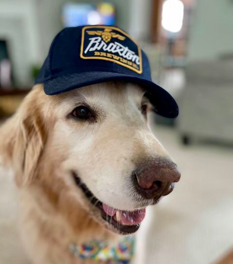 Idk about you guys but our Thursday just got a whole lot better. 
The goodest boy 😍 
#LiftOneToLife