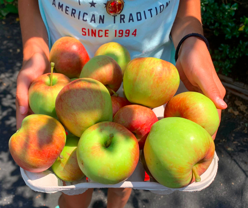 Family Matters Direct Primary Care tweet media