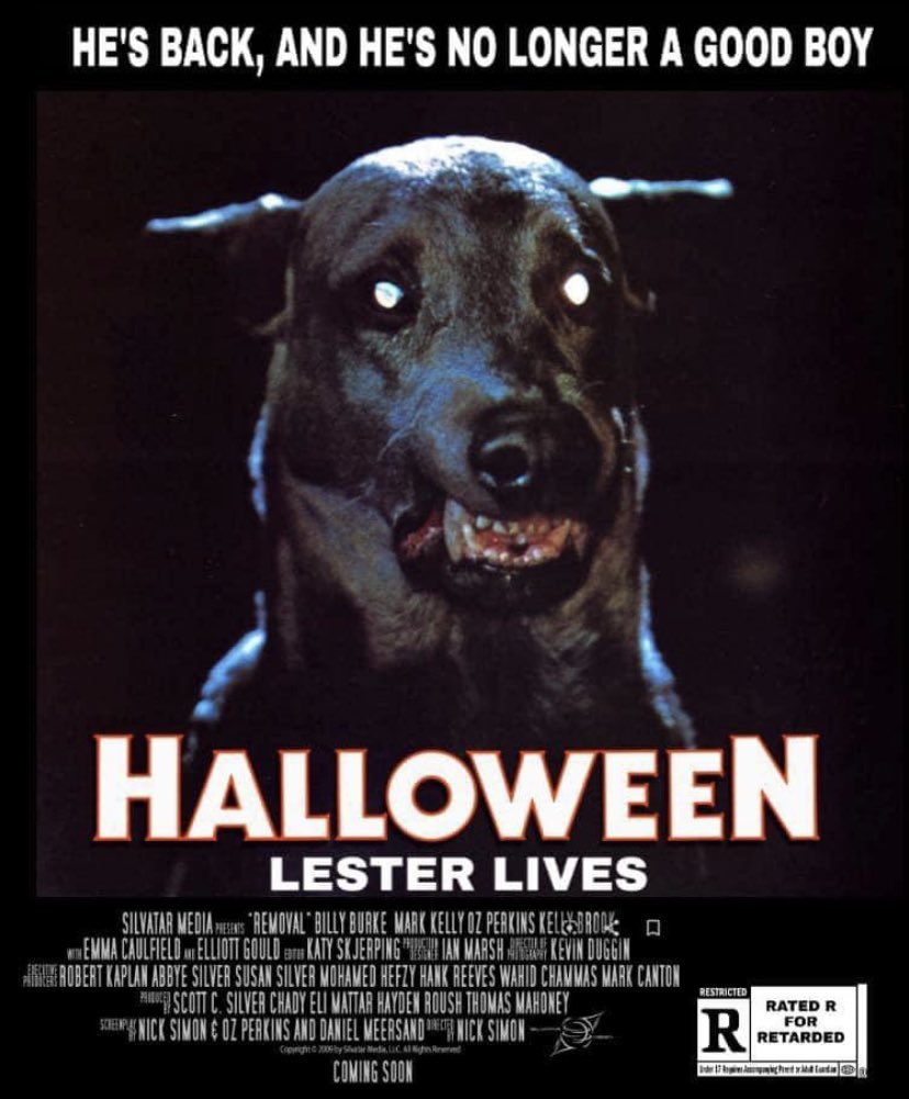 It’s #NationalDogDay here in my little town. Naturally every dog in town gets on Annie’s nerves. She generally freezes in place everytime she comes across one. I have a feeling they would rip her apart if she moved