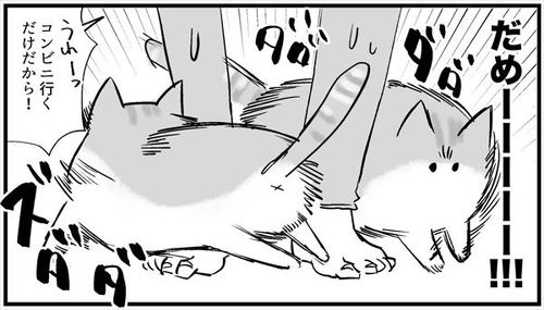 猫「こいつ……出かける気だ!!」 いつもと違う服の飼い主を見た猫の反応を描いた漫画が面白い https://t.co/vnuxt3zVBi @itm_nlabより 