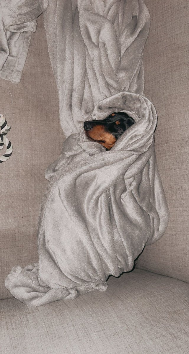 Grace Roche (@GraceRoche19) | Twitter