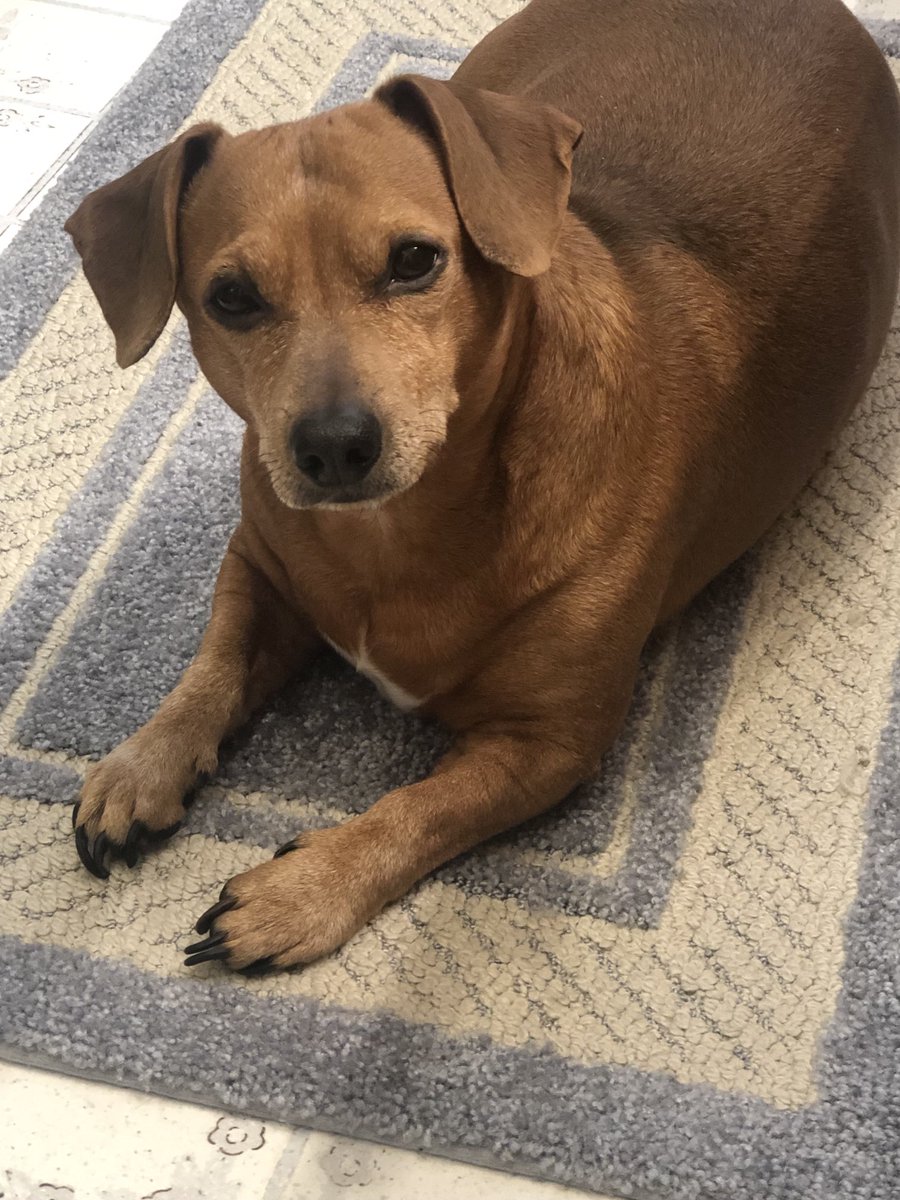 Karen Brown tweet media