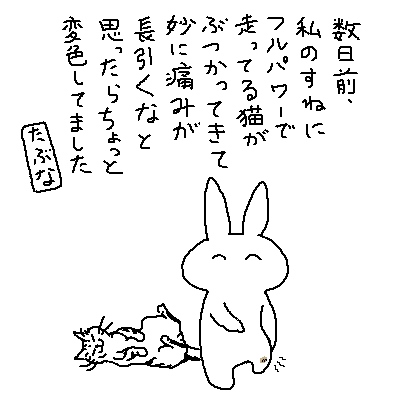 みなさんもフルパワーキャットにはお気をつけください 