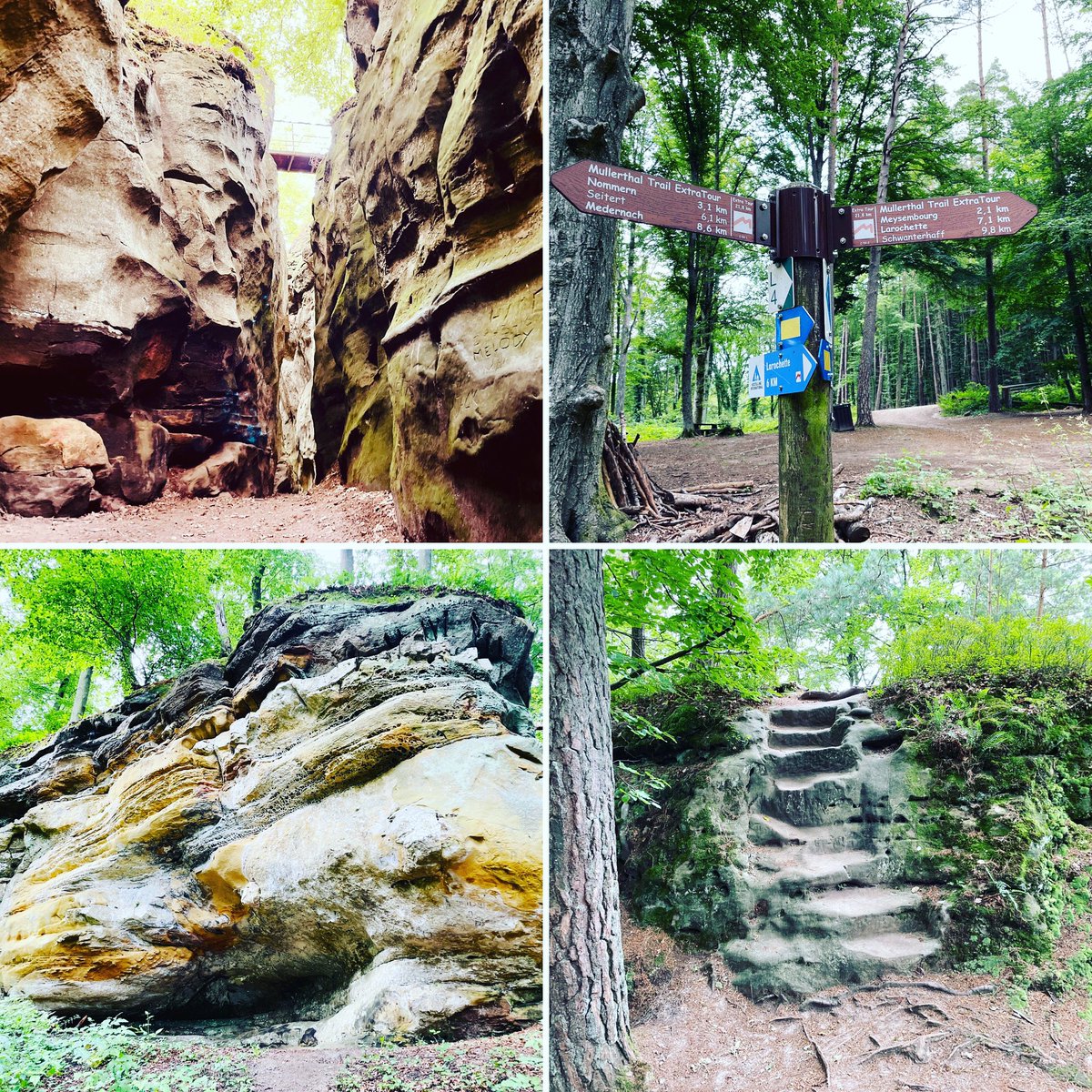 KohlJoseph1's tweet photo. Nommerlayen (L)
#mullerthal #mullerthaltrail #visitluxembourg #visitmullerthal #visitguttland https://t.co/6OK6bVauFc