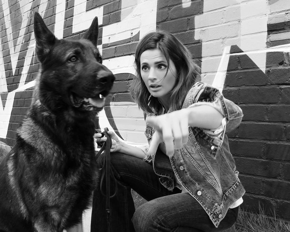 #TBT

<a href="/Stana_Katic/">S_K</a> with her 🐕 #InternationalDogDay