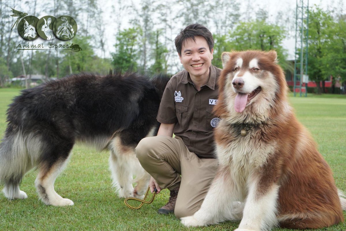 pet_space's tweet photo. สุขสันต์ วันสุนัขโลกนะครับ 💓 🐕
หนึ่งในเพื่อนมนุษย์มาอย่างยาวนานที่สุด และ ตลอดไป

#InternationalDogDay #InternationalDogDay2021 #Dog #cutedog #AlaskanDog #AlaskanMalamute #สัตว์โลกน่ารัก #สัตว์เลี้ยงน่ารัก https://t.co/8tRbnWlOfV