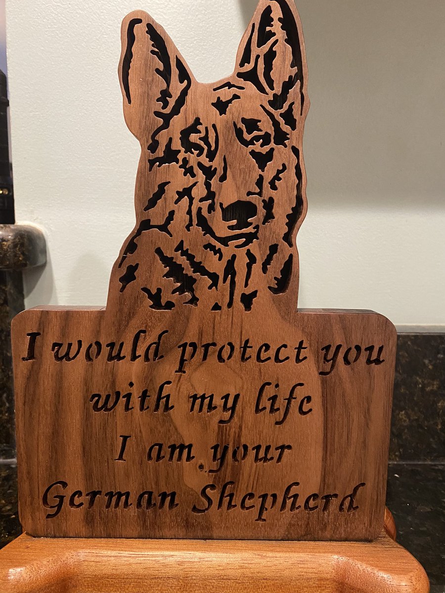 When my father says he’s sending me a surprise, I always know it will be epic. This did not disappoint! Swipe for close up. #gsd #k9 #workingdog #protector #bestfriend #thankyou