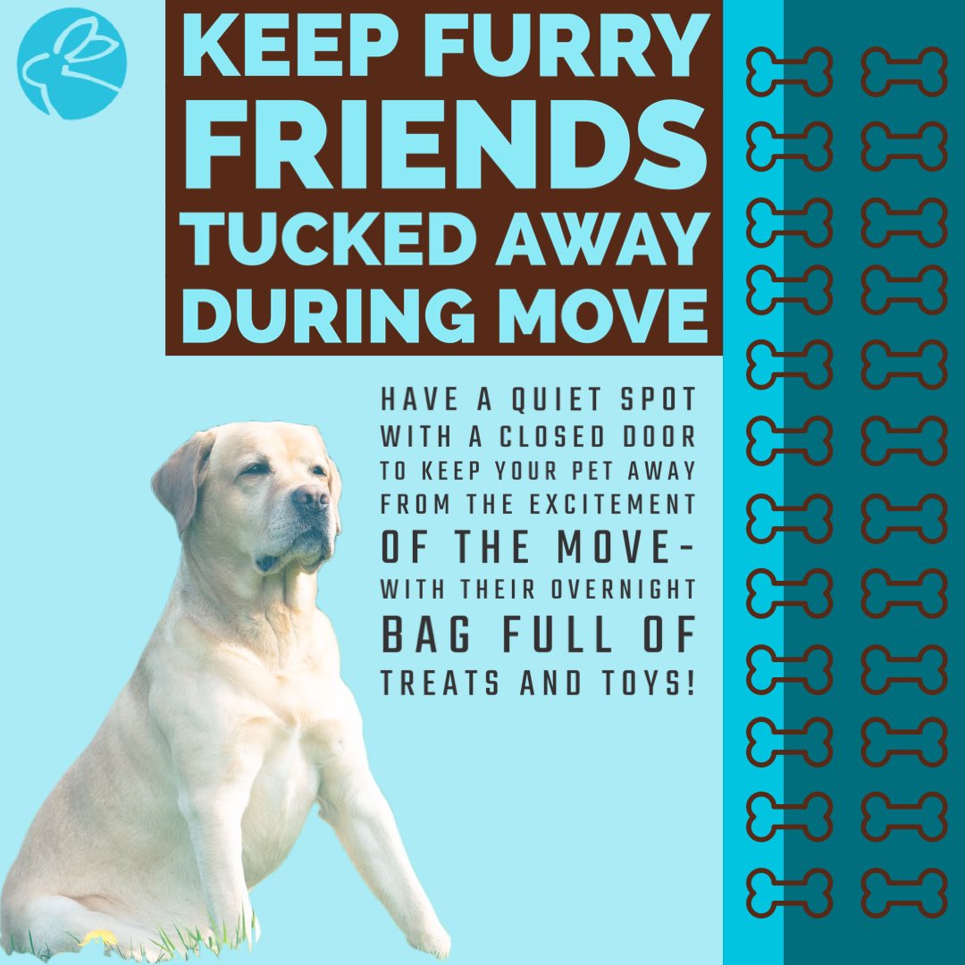 RabbitMovers's tweet image. Happy #NationalDogDay ! We have a 🐶 friendly office and wanted to share a few tips for moving with pets!

#movingwithpets #movingwithdogs #rabbitmovers #bookabunny #brooklynbunny #movingtips #movinginnyc #brooklynmoving #movingandstorage #nycmovers