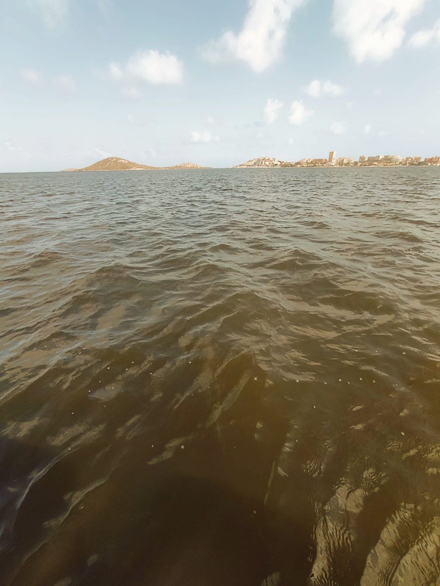 Regmurcialimpia's tweet image. Aguas de playa paraíso ayer. Y poco más que añadir. #SOSMarMenor...