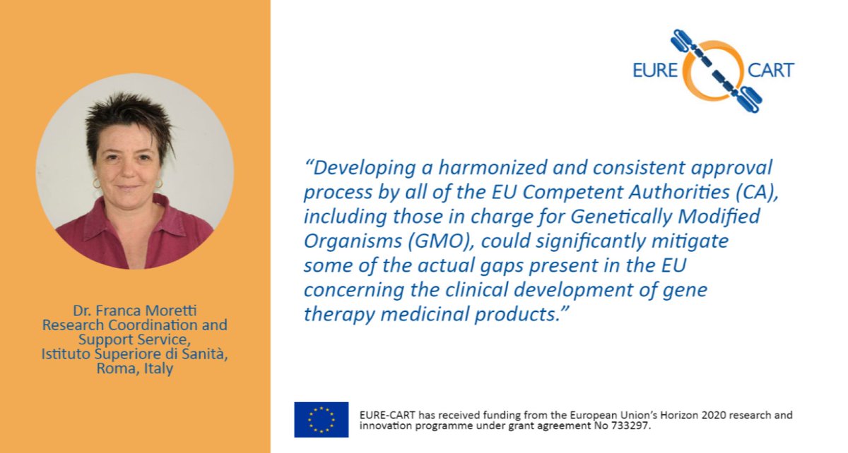 EatrisEric's tweet photo. What are the regulatory issues and challenges in Europe to harmonise translation of CAR-T therapies from bench to bedside? EATRIS Partners in @EURECART_EU report their findings in a new white paper.
๐ Find out more here: https://t.co/fPgEg4Ofnk #EURECART #CARTcell #ATMP https://t.co/SQShW1J0eW
