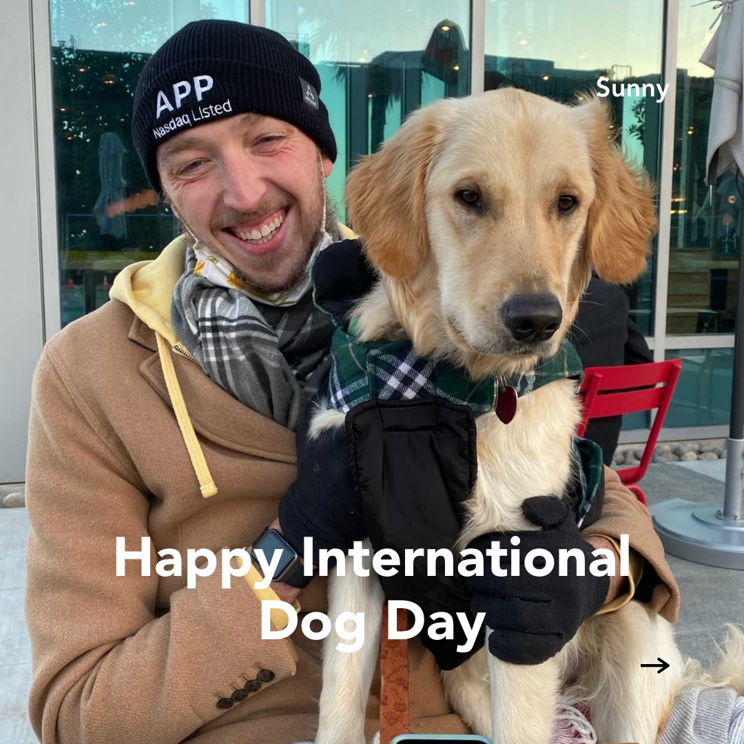 AppLovin's tweet image. Happy #InternationalDogDay to all the dog lovers out there! To brighten your day, here’s some pictures of our AppLovin pups. Enjoy!