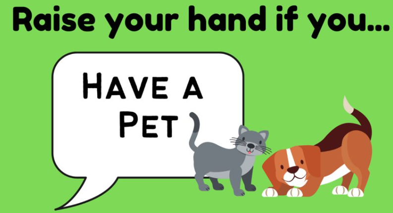 MissJFernandes's tweet image. Getting to know our new classmates! Practicing our conversation skills while finding common interests! @jodij30 #HCDSBSpecEdSummerLearning