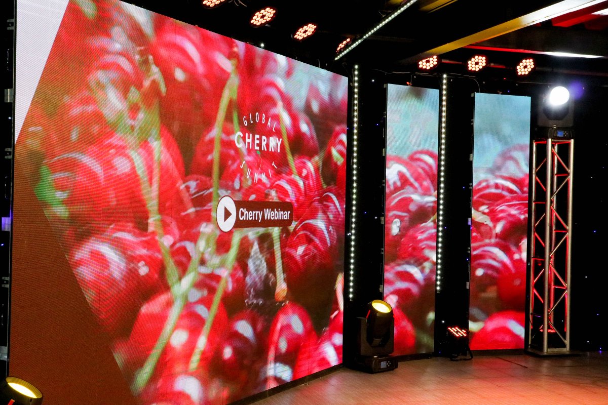 Global_Cherry's tweet photo. ¡Ya partimos! Comenzó el webinar de Global Cherry Summit: "Los Nuevos Desafíos de la Industria de la Cereza", evento virtual donde se analizarán los retos que impactarán a la industria de la cereza chilena en la próxima temporada 2021/22.#CherryFuture #GlobalCherrySummit #Cerezas https://t.co/ThNzhgI04L
