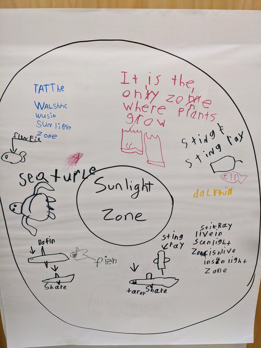 Circle maps can help students with vocabulary development, encourage expansion and refinement of ideas, create connections and patterns within information on the map, and more.

Try this #visualthinking strategy in your classroom today!

@ejjaguars #talentedandgifted #thinkingmap